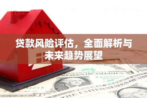 龙口贷款风险评估，全面解析与未来趋势展望