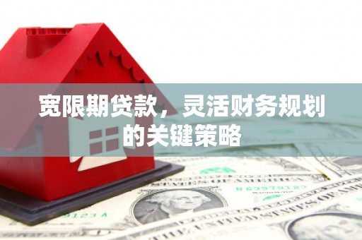 禅城宽限期贷款，灵活财务规划的关键策略