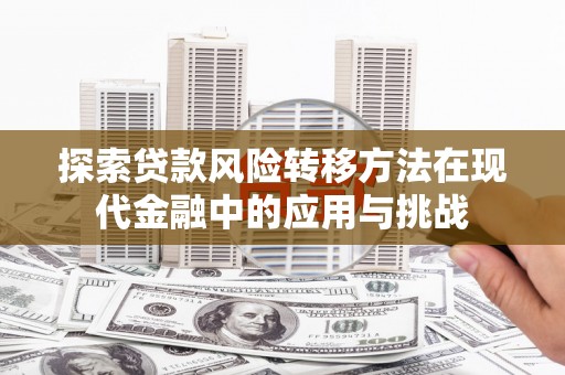 望谟探索贷款风险转移方法在现代金融中的应用与挑战