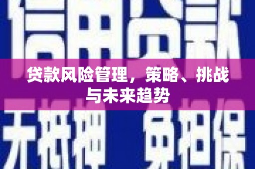 剑河贷款风险管理，策略、挑战与未来趋势