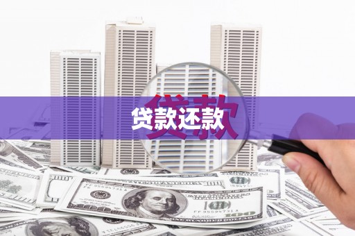 惠济贷款还款