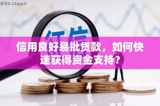 三民信用良好易批贷款，如何快速获得资金支持？