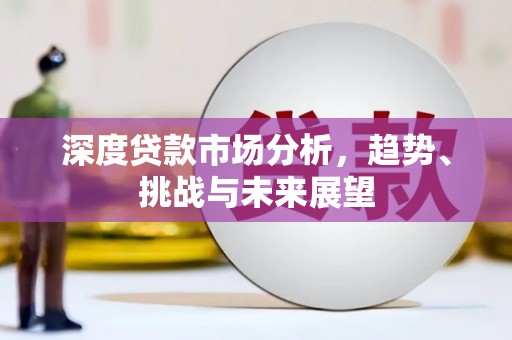 墨江深度贷款市场分析，趋势、挑战与未来展望