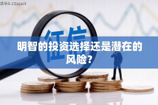泗阳明智的投资选择还是潜在的风险？