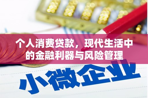 新华个人消费贷款，现代生活中的金融利器与风险管理