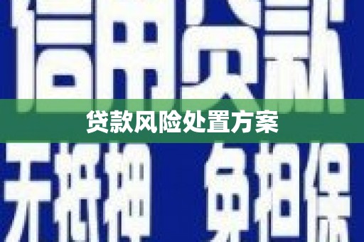 桑日贷款风险处置方案