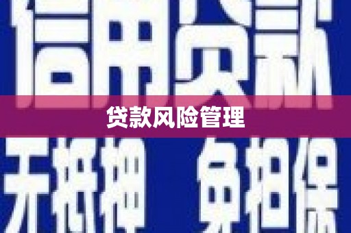 固始贷款风险管理