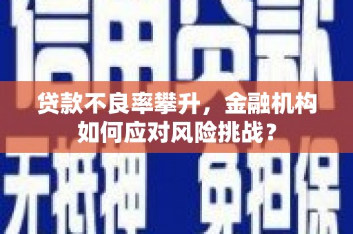 襄阳贷款不良率攀升，金融机构如何应对风险挑战？