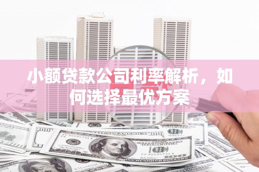 三沙小额贷款公司利率解析，如何选择最优方案
