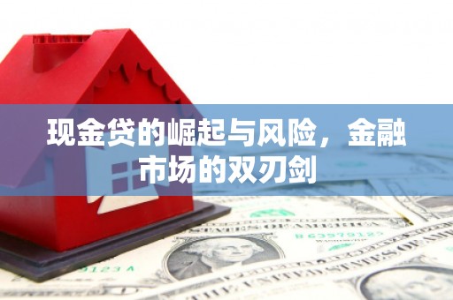 从化现金贷的崛起与风险，金融市场的双刃剑