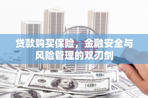 凤城贷款购买保险，金融安全与风险管理的双刃剑