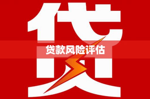 临淄贷款风险评估