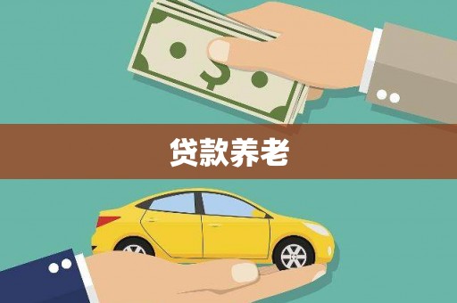 颍上贷款养老