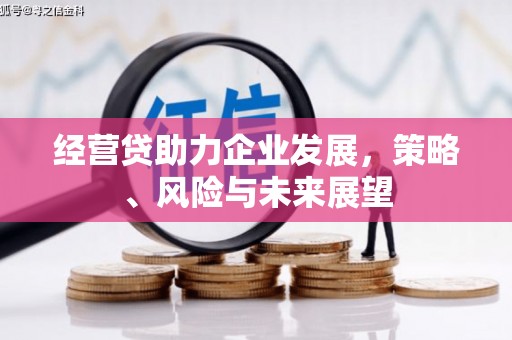 定安经营贷助力企业发展，策略、风险与未来展望