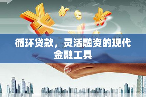 洋县循环贷款，灵活融资的现代金融工具