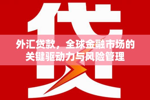 北市外汇贷款，全球金融市场的关键驱动力与风险管理