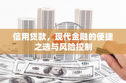沙湾信用贷款，现代金融的便捷之选与风险控制