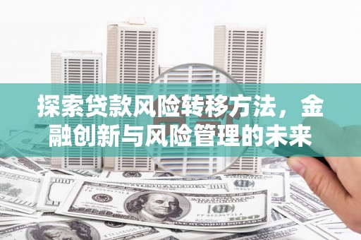 荔城探索贷款风险转移方法，金融创新与风险管理的未来
