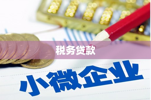 赫山税务贷款
