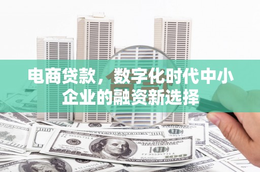中正电商贷款，数字化时代中小企业的融资新选择