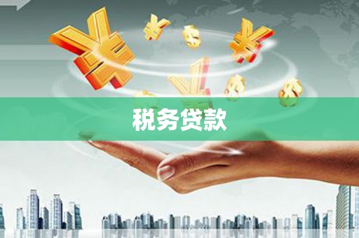 雨城税务贷款