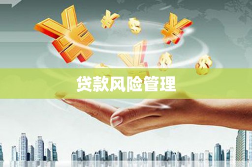 巩义贷款风险管理