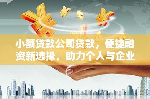 漯河小额贷款公司贷款，便捷融资新选择，助力个人与企业成长