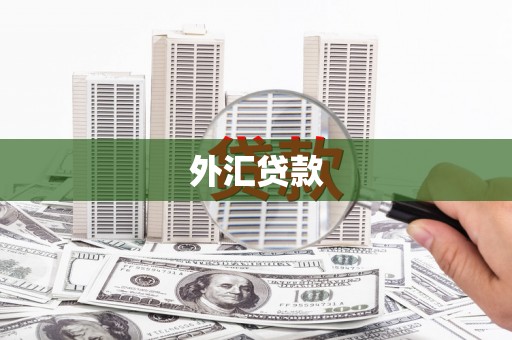 观山湖外汇贷款