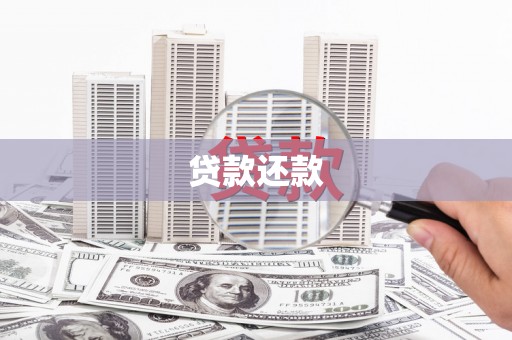 顺庆贷款还款
