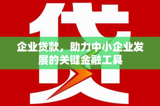 九台企业贷款，助力中小企业发展的关键金融工具