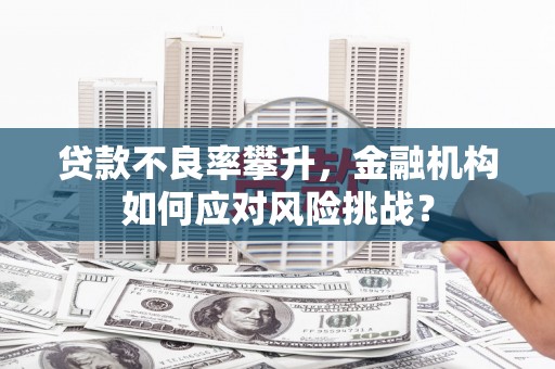 太和贷款不良率攀升，金融机构如何应对风险挑战？