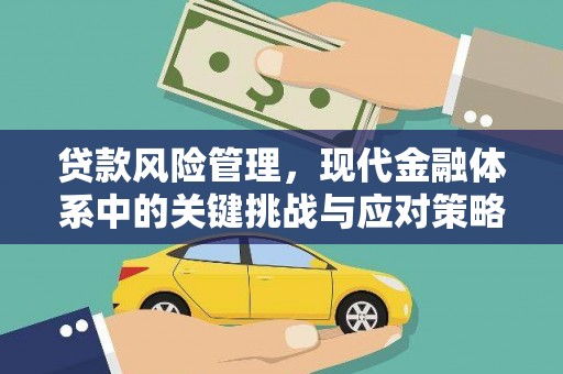 那曲贷款风险管理，现代金融体系中的关键挑战与应对策略