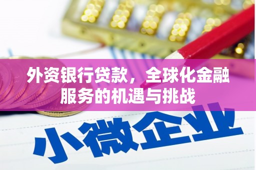 永善外资银行贷款，全球化金融服务的机遇与挑战