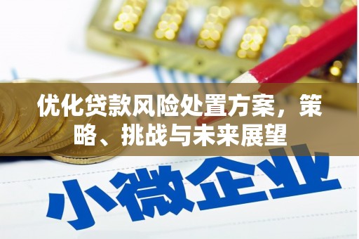 宁波优化贷款风险处置方案，策略、挑战与未来展望