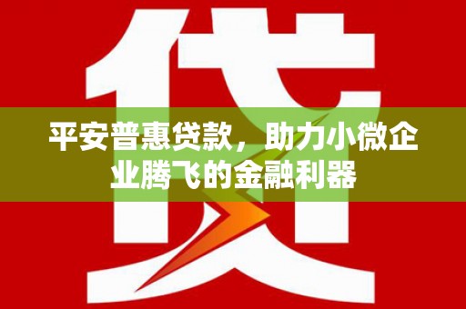 沙坪坝平安普惠贷款，助力小微企业腾飞的金融利器