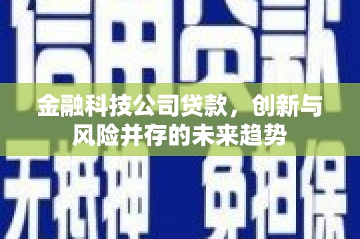 苑里金融科技公司贷款，创新与风险并存的未来趋势