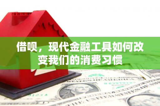 温宿借呗，现代金融工具如何改变我们的消费习惯