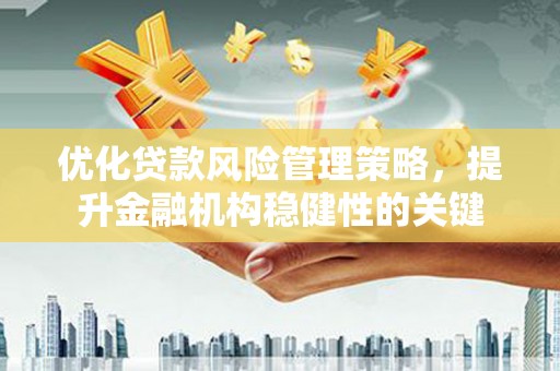 龙沙优化贷款风险管理策略，提升金融机构稳健性的关键