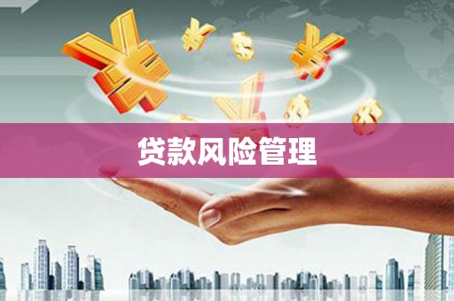 蛟河贷款风险管理