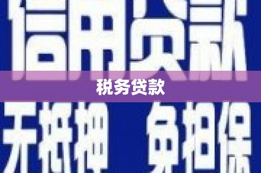 墨竹工卡税务贷款