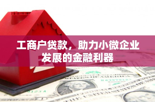 伊吾工商户贷款，助力小微企业发展的金融利器