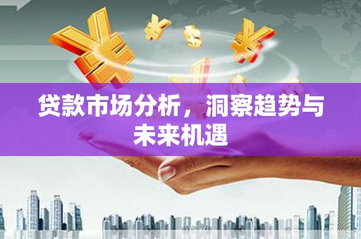 新会贷款市场分析，洞察趋势与未来机遇