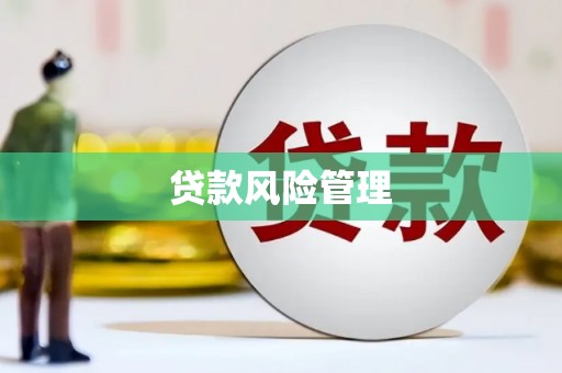 隆子贷款风险管理