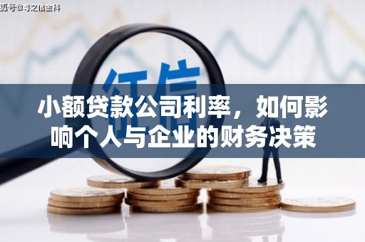 港南小额贷款公司利率，如何影响个人与企业的财务决策