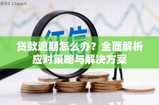 高碑店贷款逾期怎么办？全面解析应对策略与解决方案
