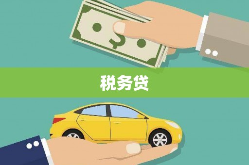 乐东税务贷