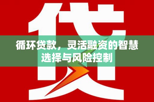 颍州循环贷款，灵活融资的智慧选择与风险控制