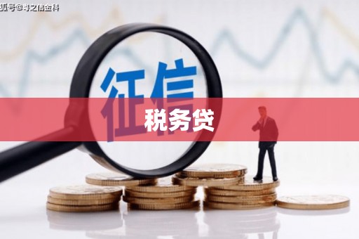 简阳税务贷