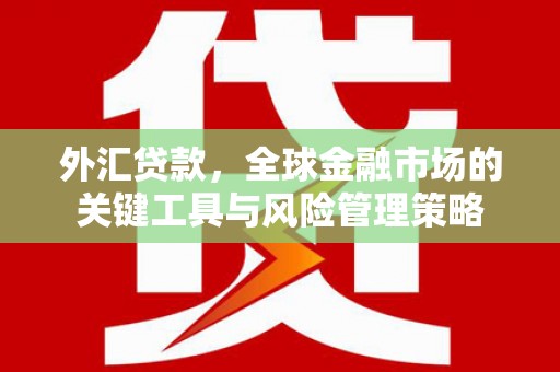 港南外汇贷款，全球金融市场的关键工具与风险管理策略