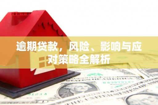 洛宁逾期贷款，风险、影响与应对策略全解析